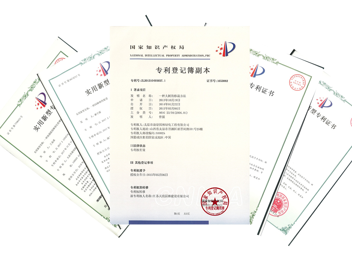 技術(shù)力量雄厚